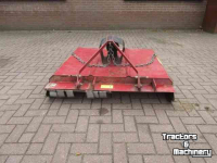 Weidebloter  Majar Weidebloter