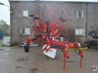 Rugger / Hark / Zwadhark Lely hibiscus 725