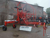 Rugger / Hark / Zwadhark Lely hibiscus 725