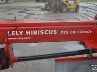 Rugger / Hark / Zwadhark Lely hibiscus 725