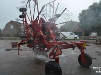 Rugger / Hark / Zwadhark Lely hibiscus 725