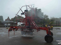 Rugger / Hark / Zwadhark Lely hibiscus 725