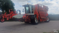 Bietenrooier Vervaet 17T