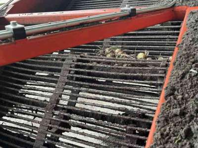 Uienrooier Holaras UM150-F - UR-135-DB Uienrooiset oogstmachines